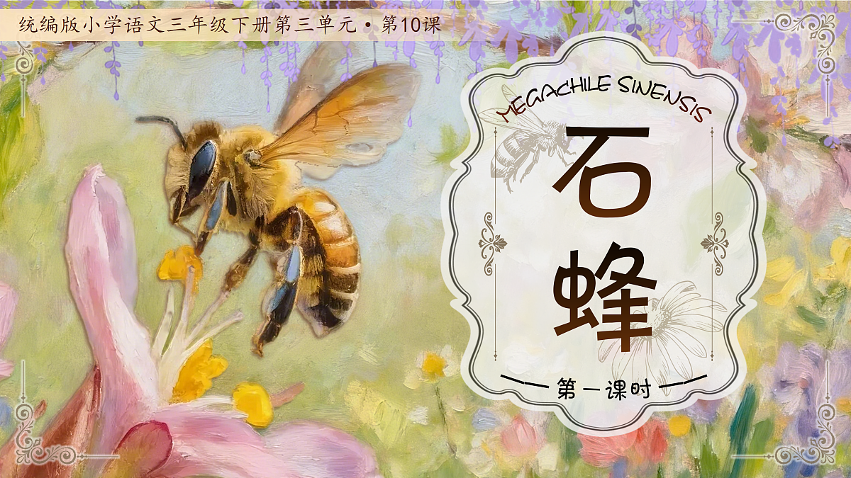 三下第三单元10《石蜂》(第一课时) 教学课件第1页
