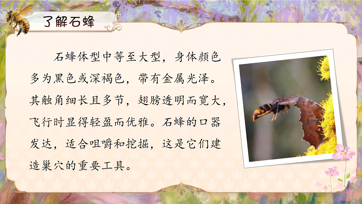 三下第三单元10《石蜂》(第一课时) 教学课件第7页