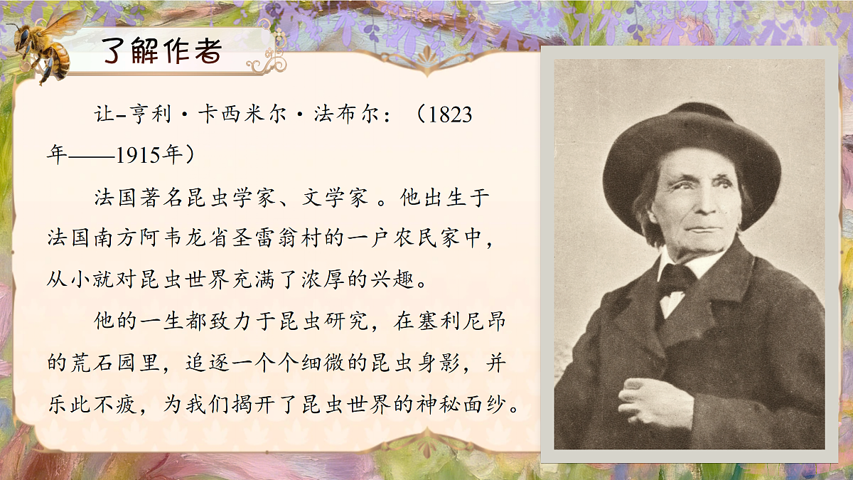 三下第三单元10《石蜂》(第一课时) 教学课件第8页