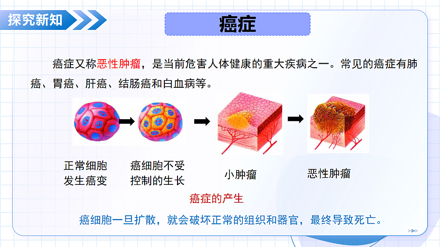 2026生物苏教版八年级下册5.18.1 癌症和心血管疾病(教学课件)第6页
