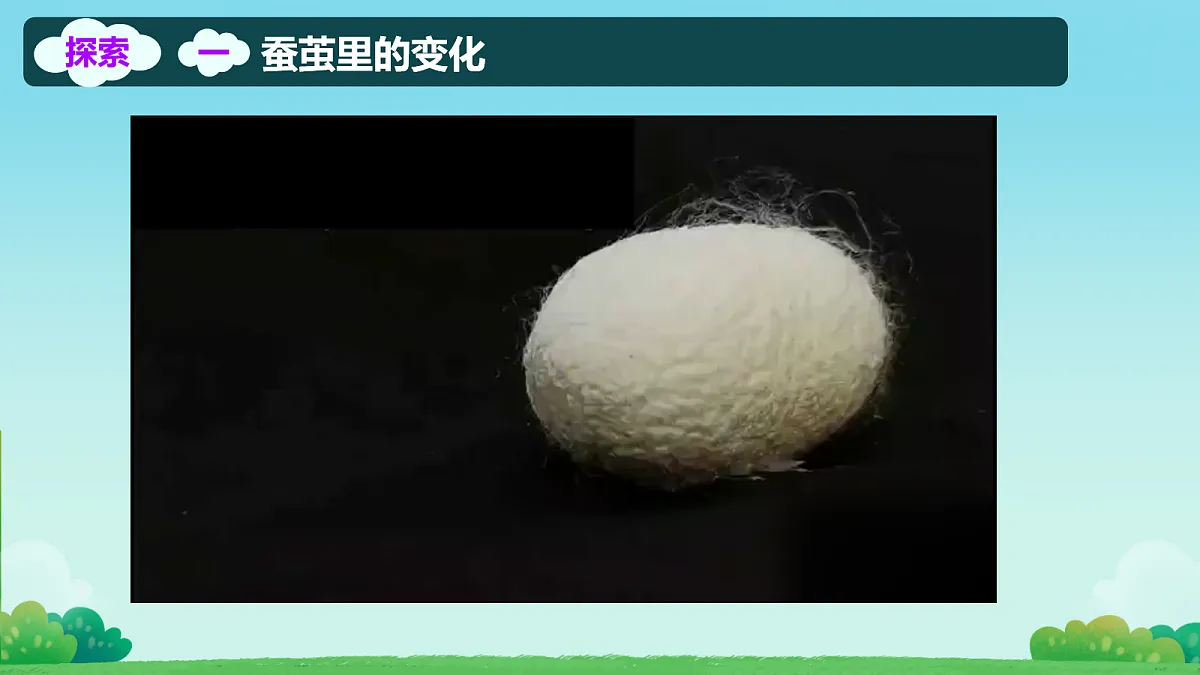 18104590第5页