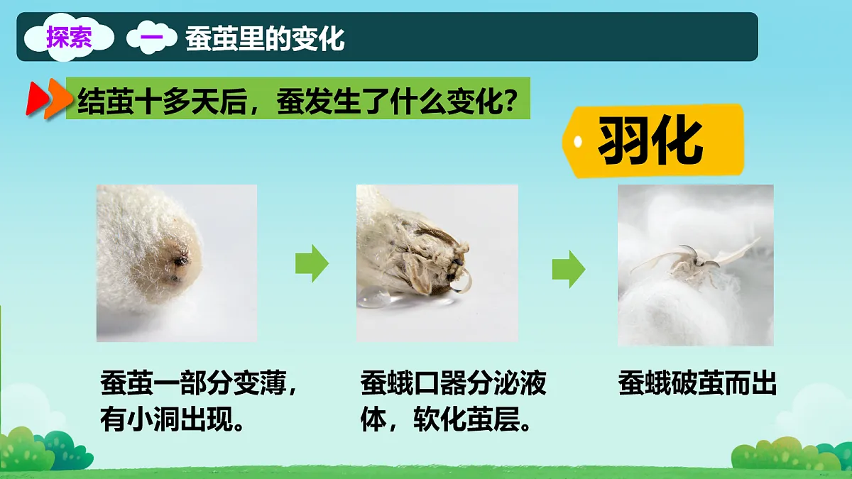 18104590第6页