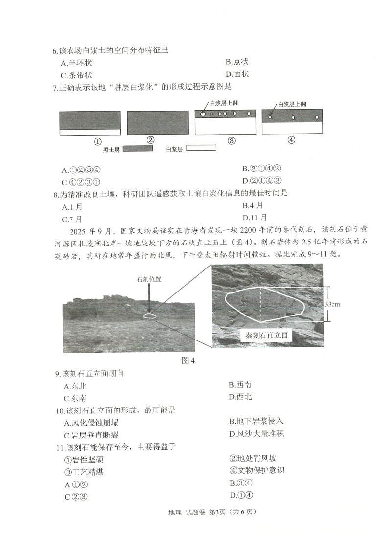 18105337第3页