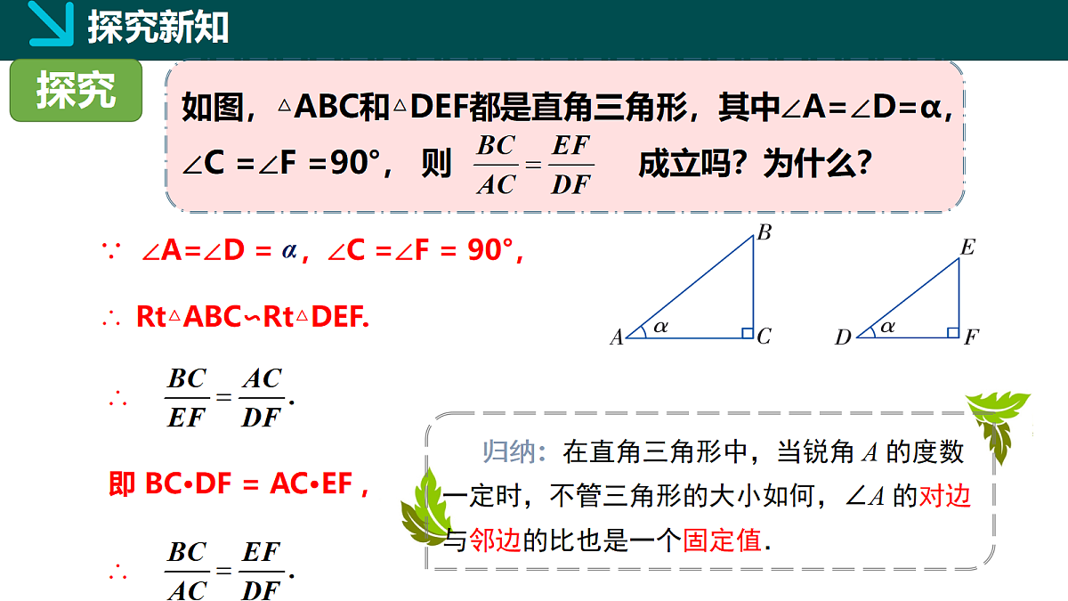 18105886第4页