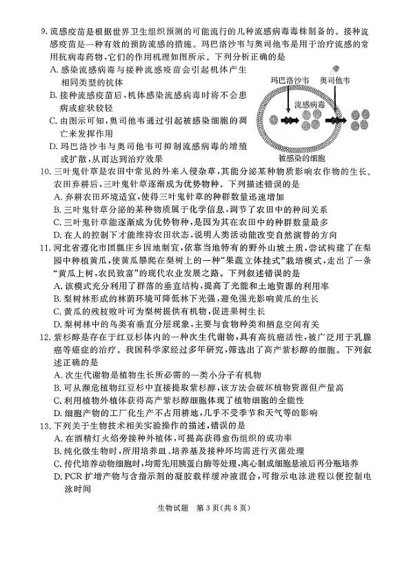 18107828第3页