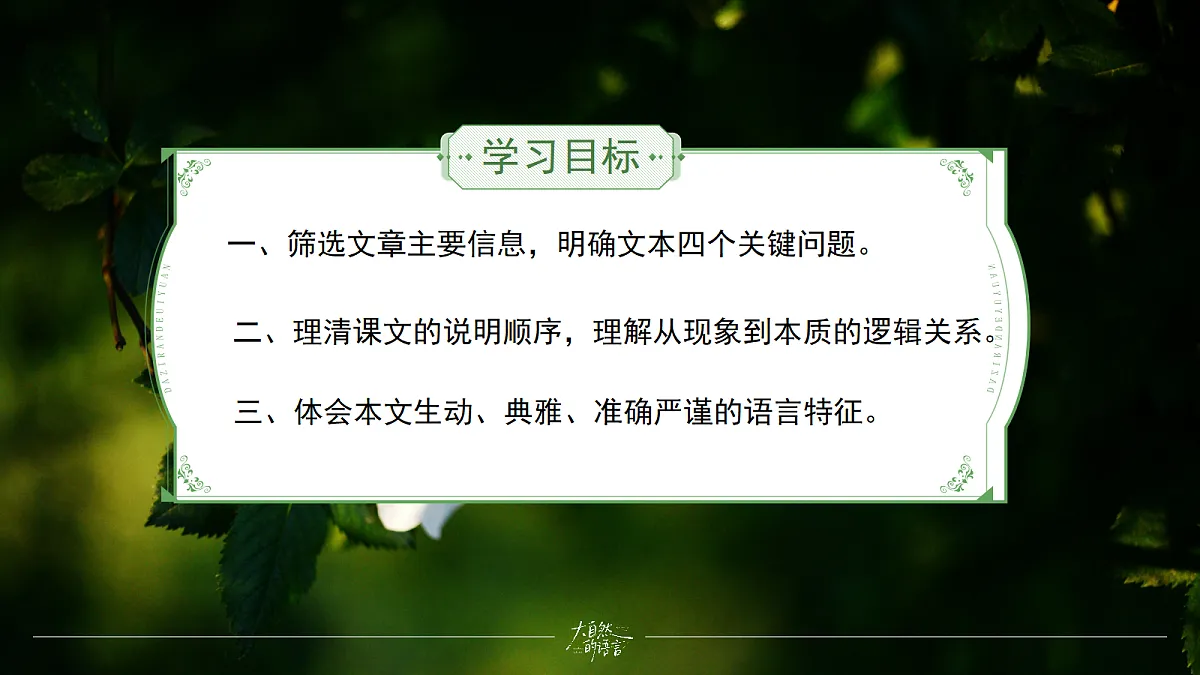 18108508第2页