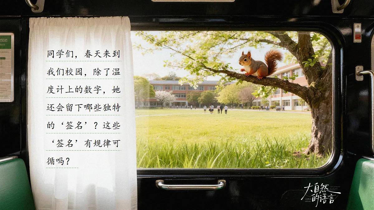 18108508第5页