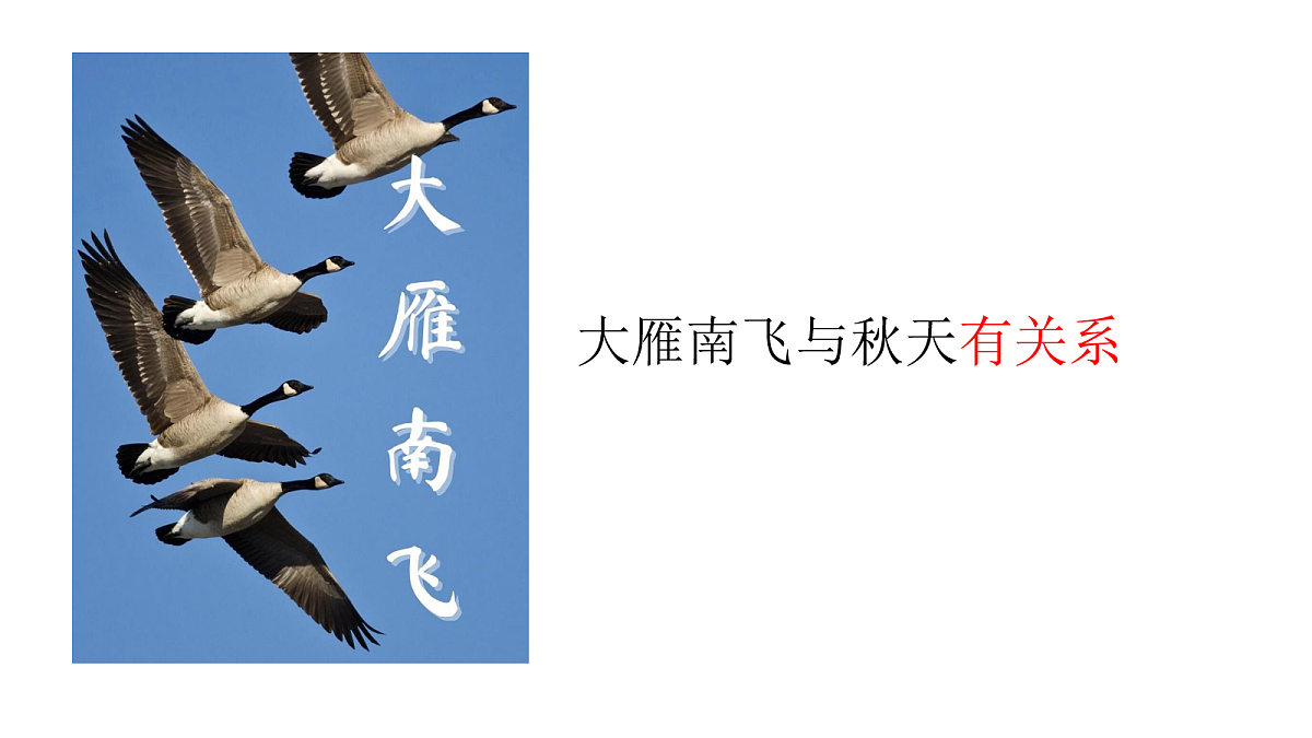 18108566第2页