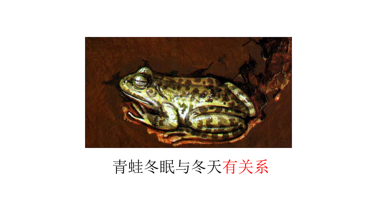 18108566第3页