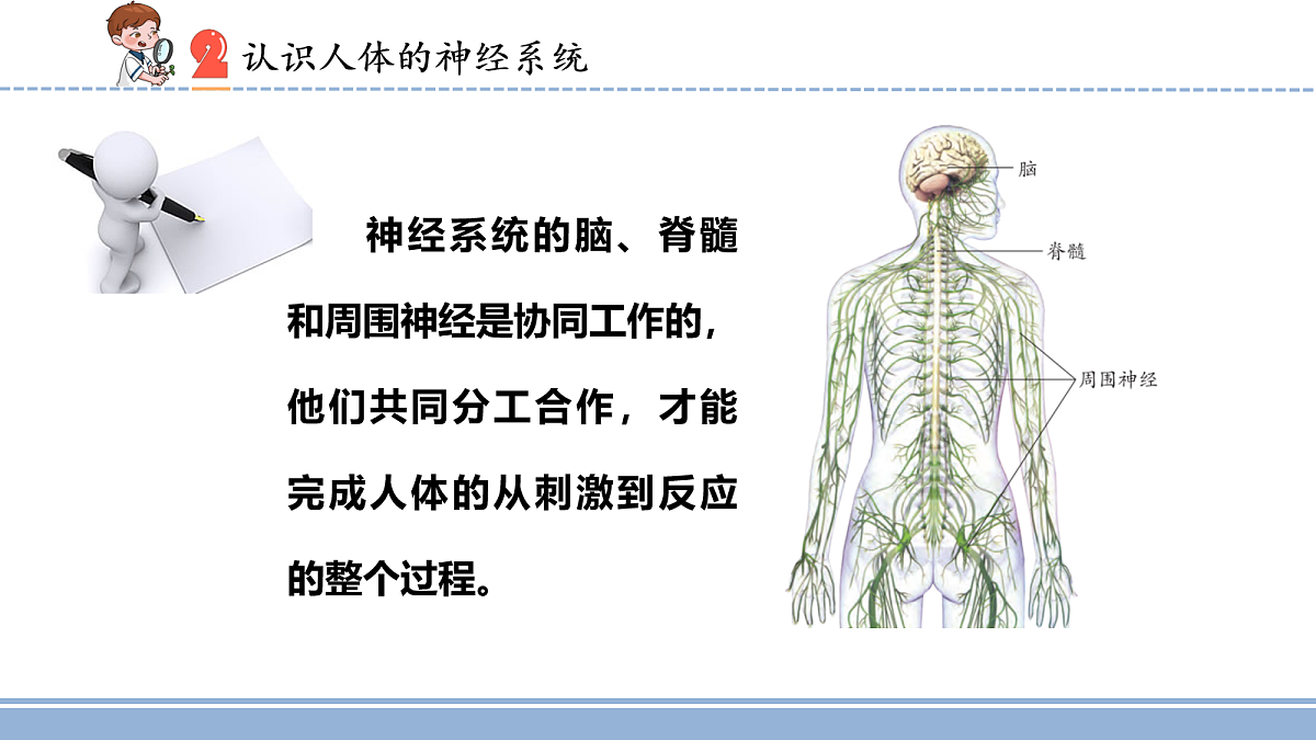 18110269第4页