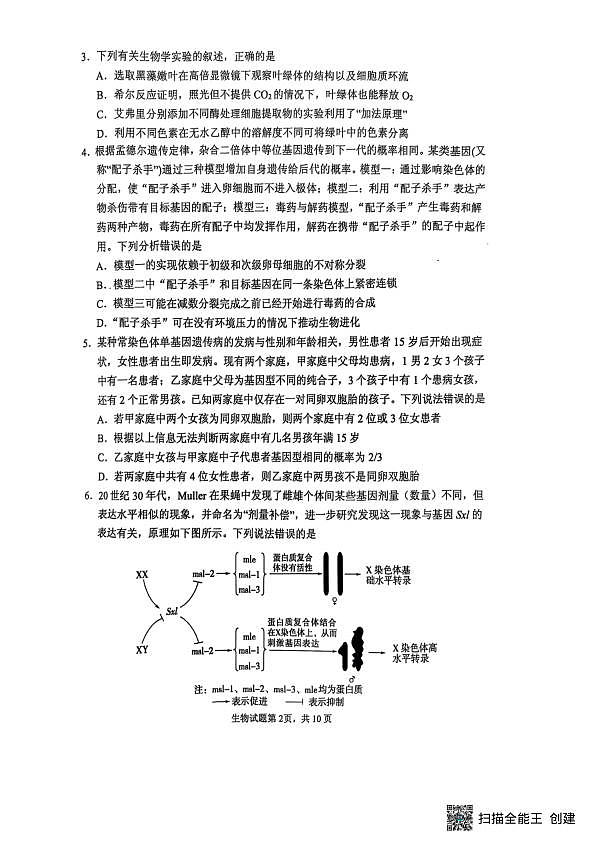 生物试题第2页