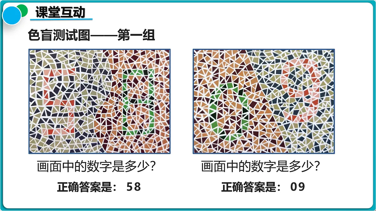 18112381第4页