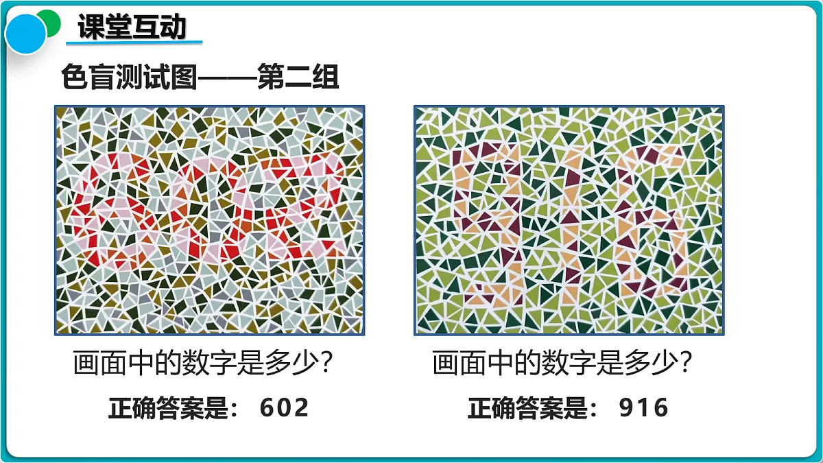 18112381第5页