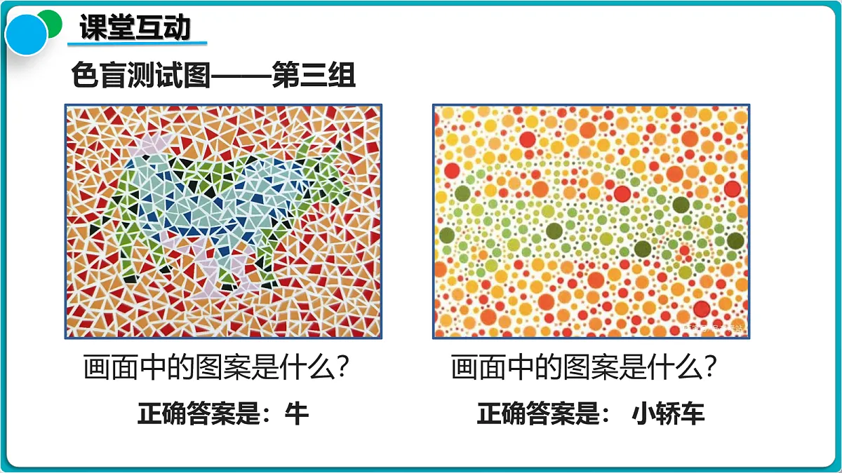 18112381第6页
