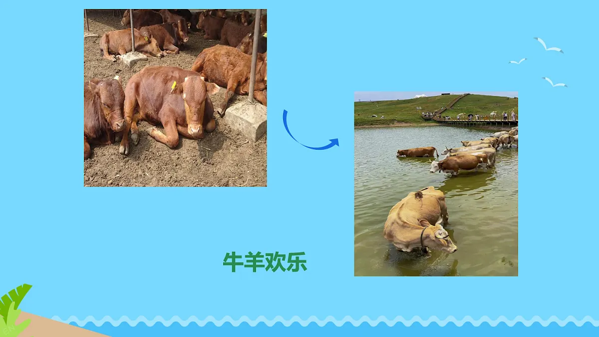 18112643第5页