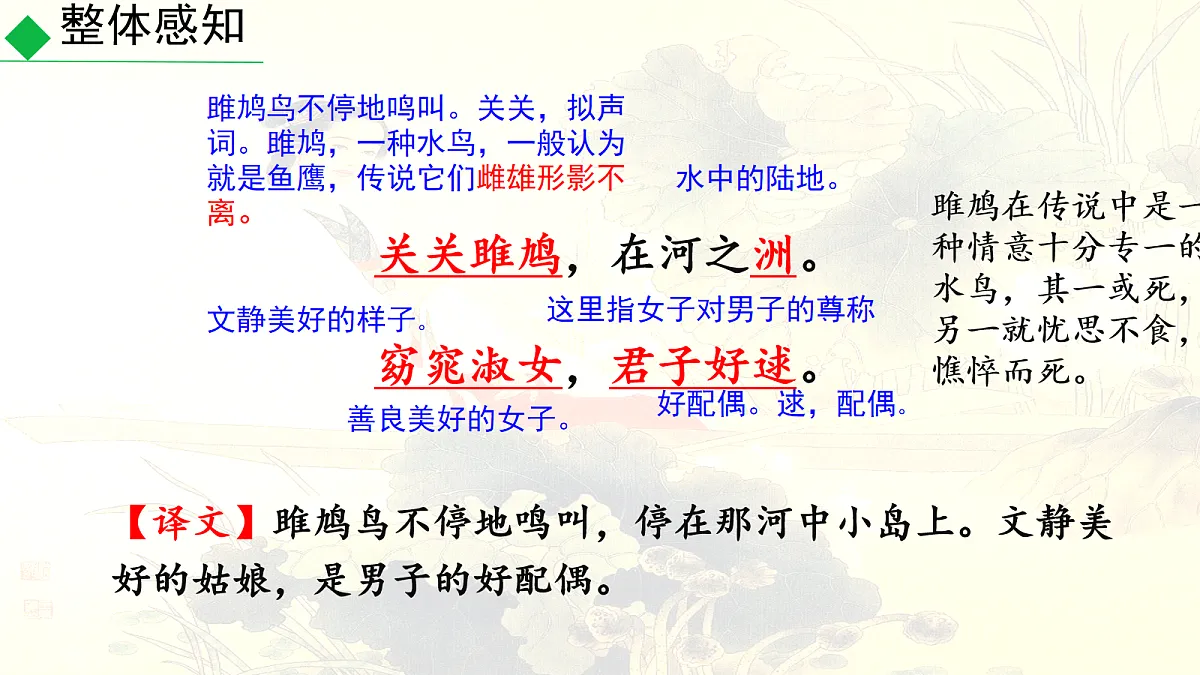 18115671第5页