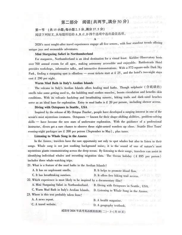 18116594第3页