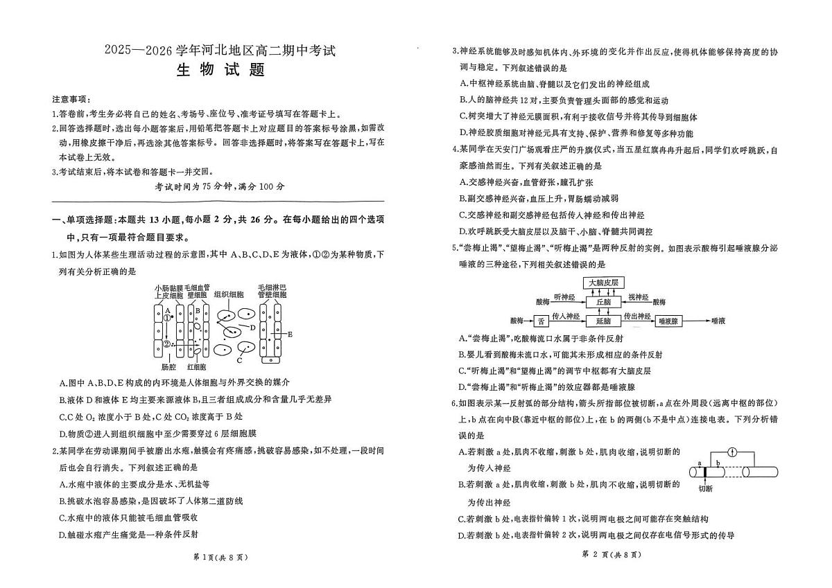 18116981第1页