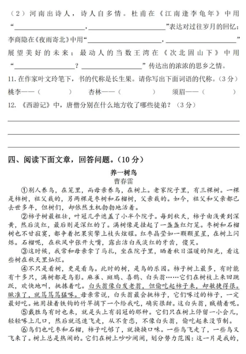 18117043第3页