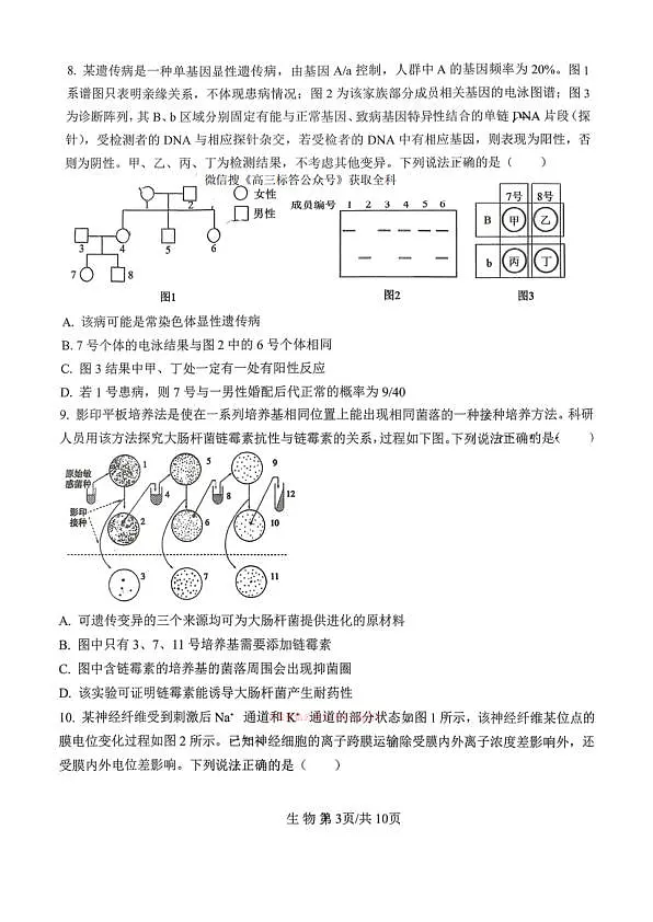 18117198第3页