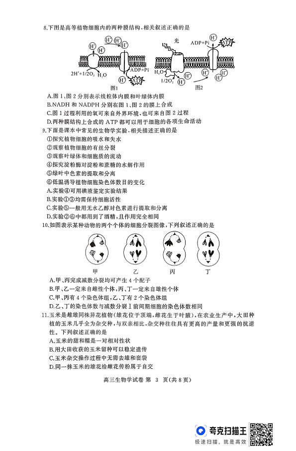 18117327第3页