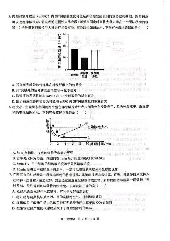 18118664第2页