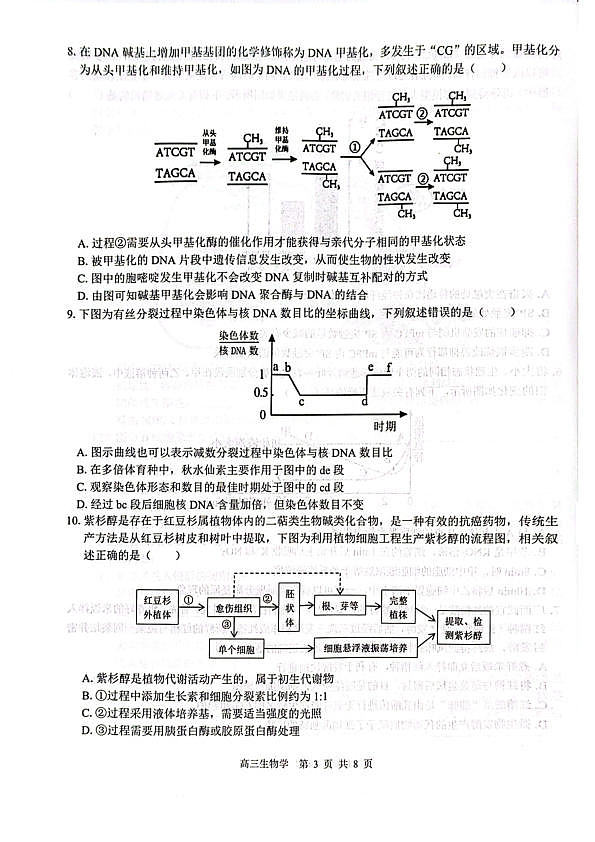 18118664第3页
