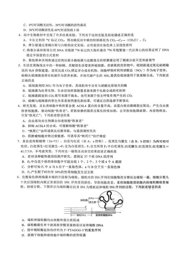 18120396第2页