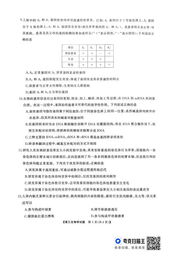 18123341第3页