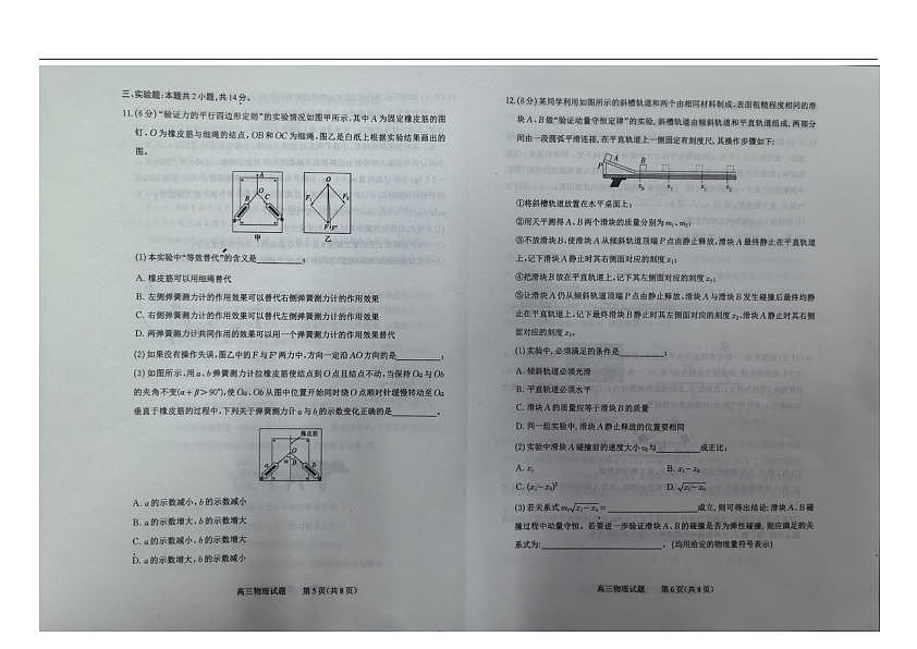 18123448第3页