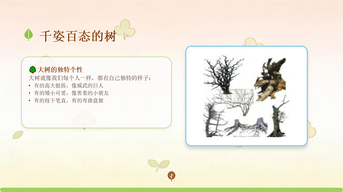 18123560第3页