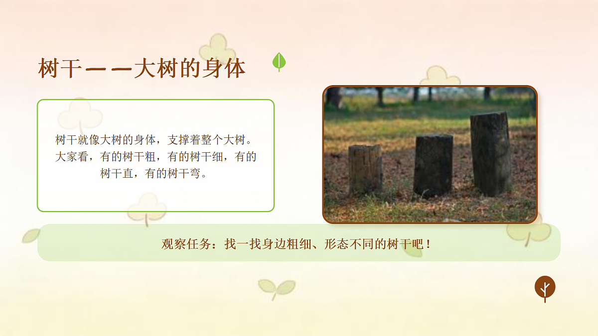 18123560第5页