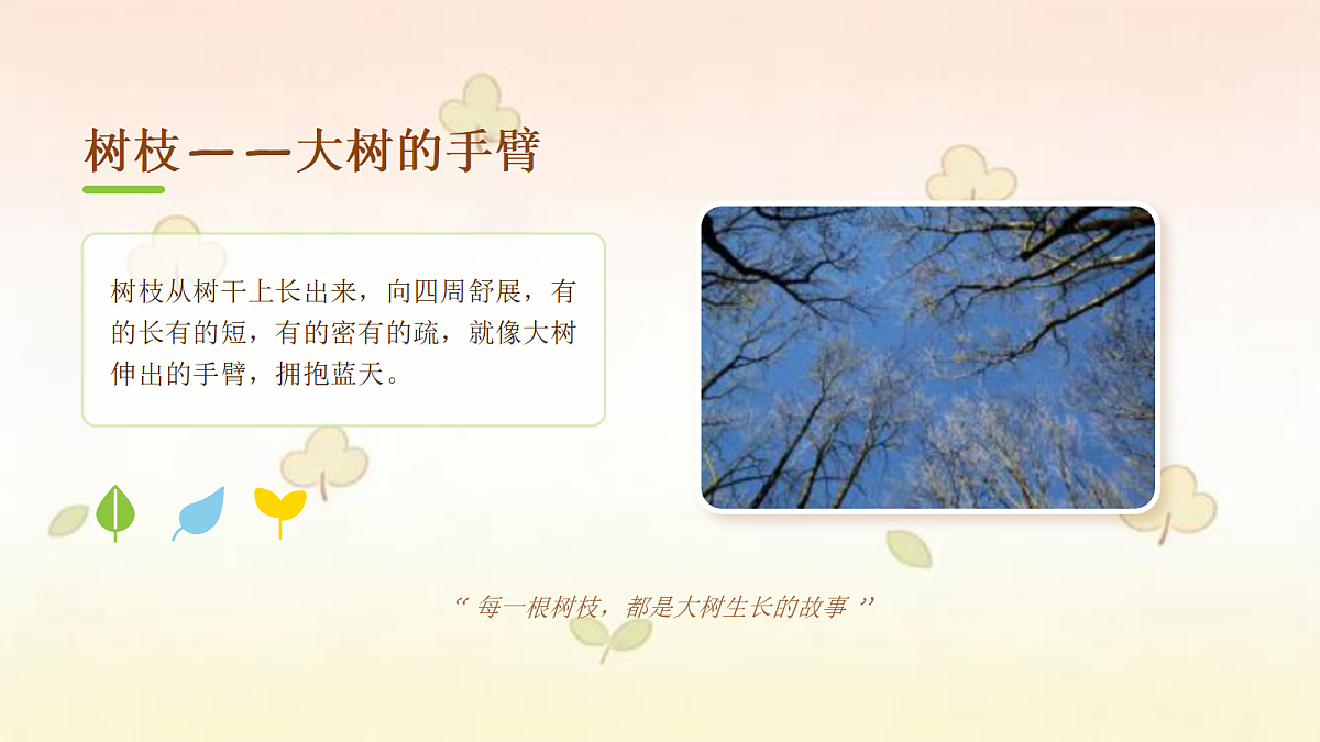 18123560第6页