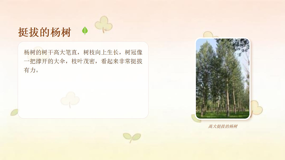 18123560第8页