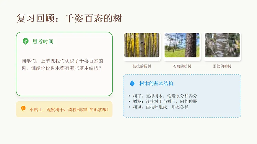 18123561第2页