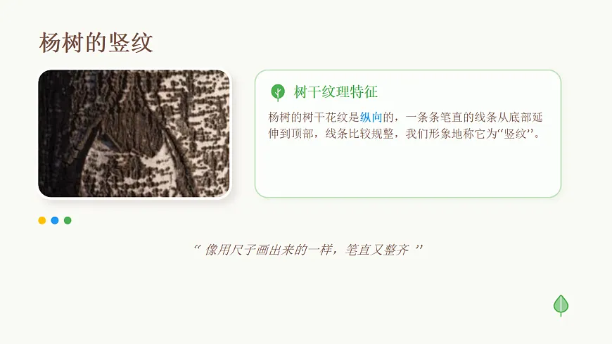 18123561第4页