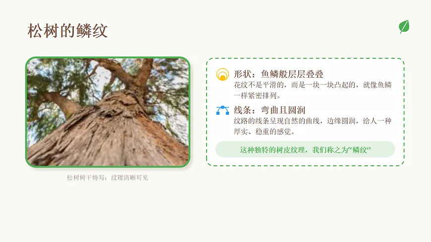 18123561第6页