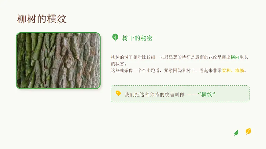 18123561第8页