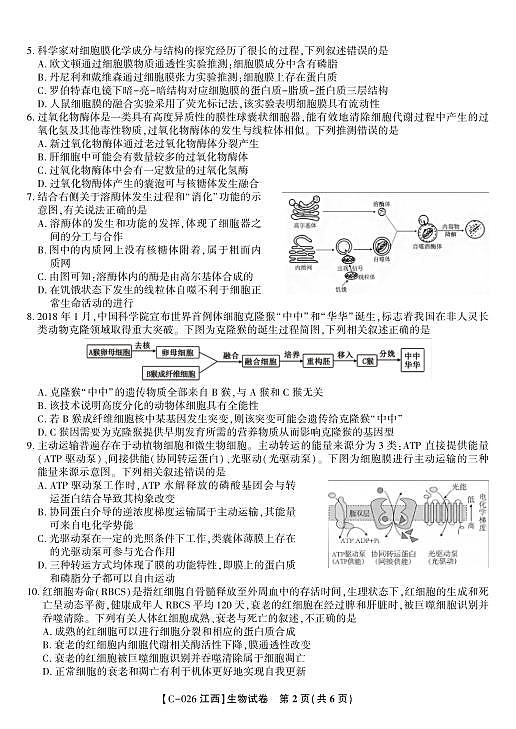 18124422第2页