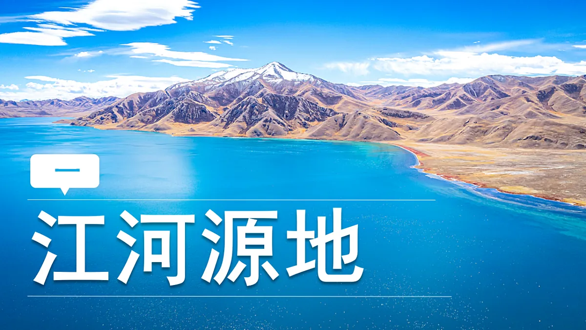 18126185第3页