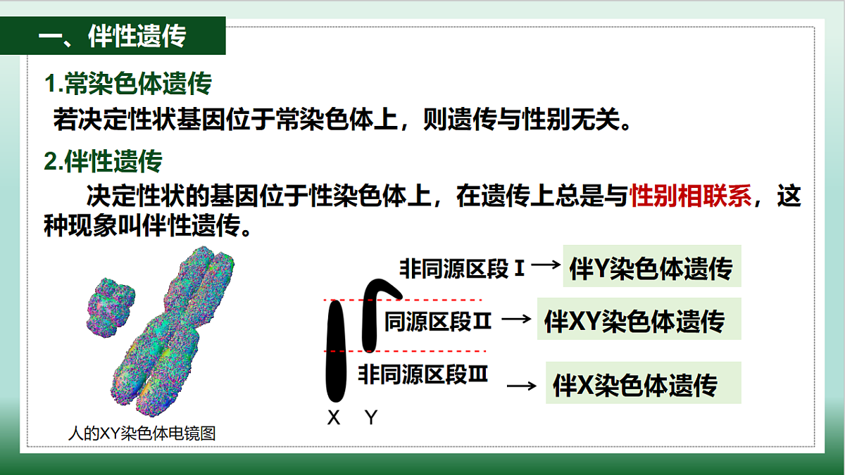 18126948第4页