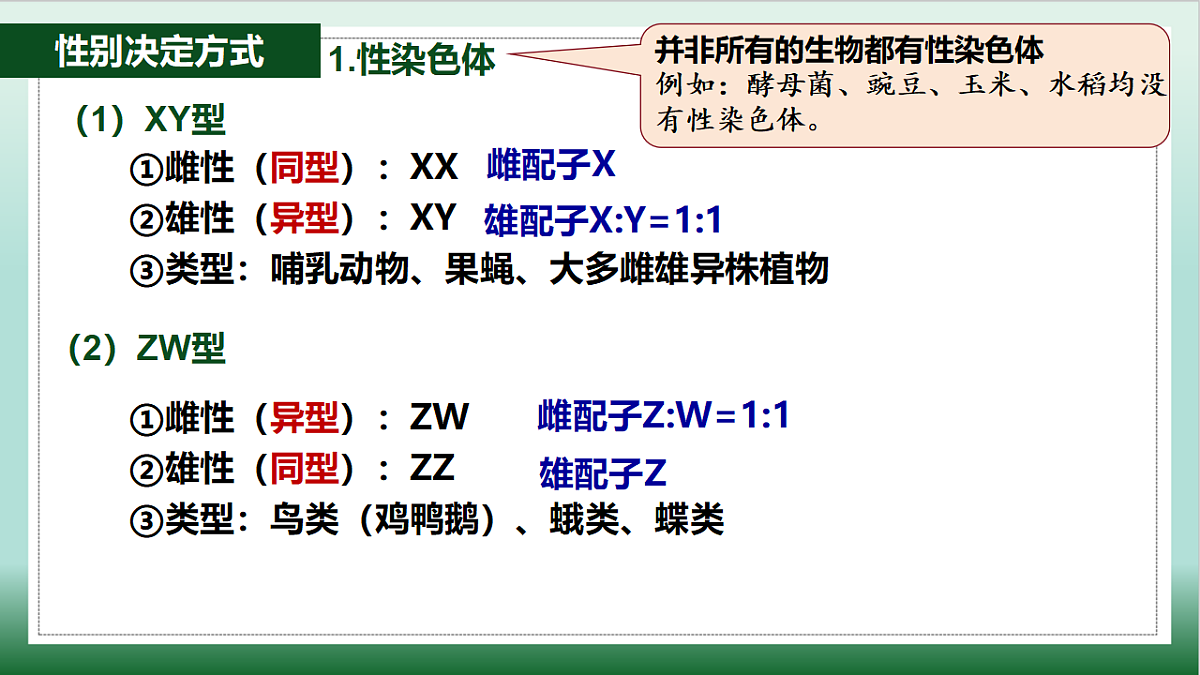 18126948第5页