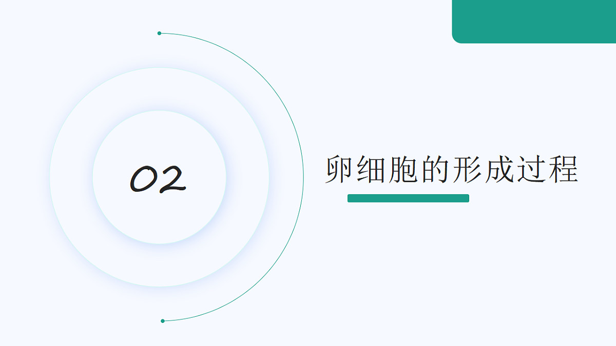 18130045第4页