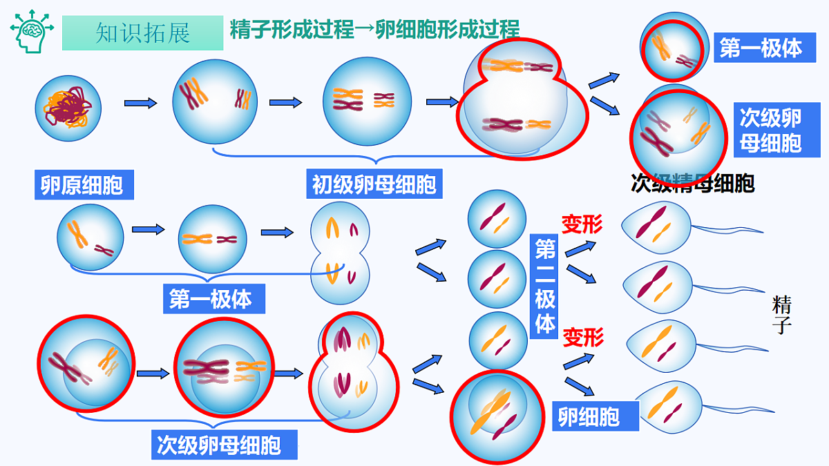 18130045第8页
