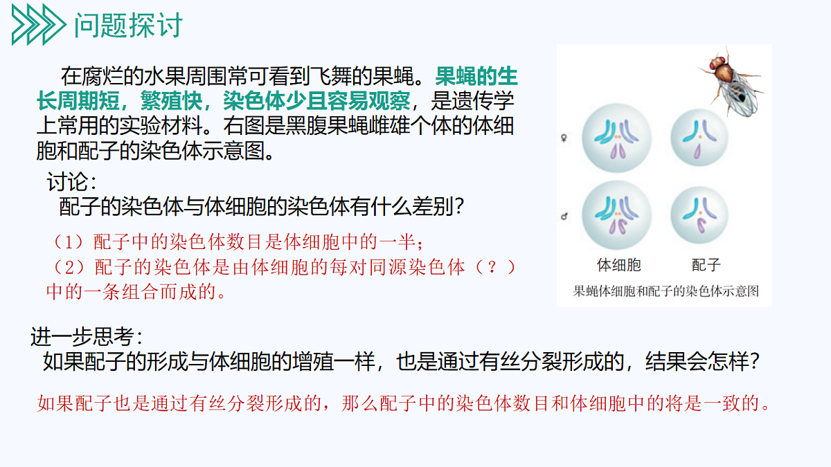 18130046第3页