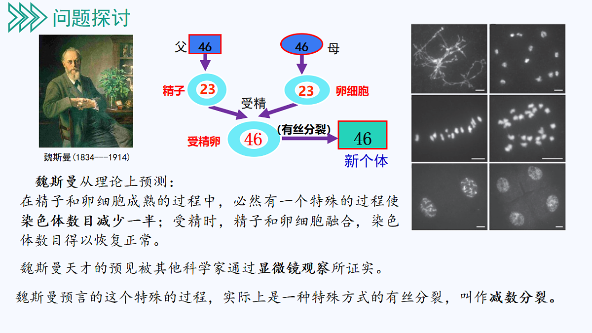 18130046第4页