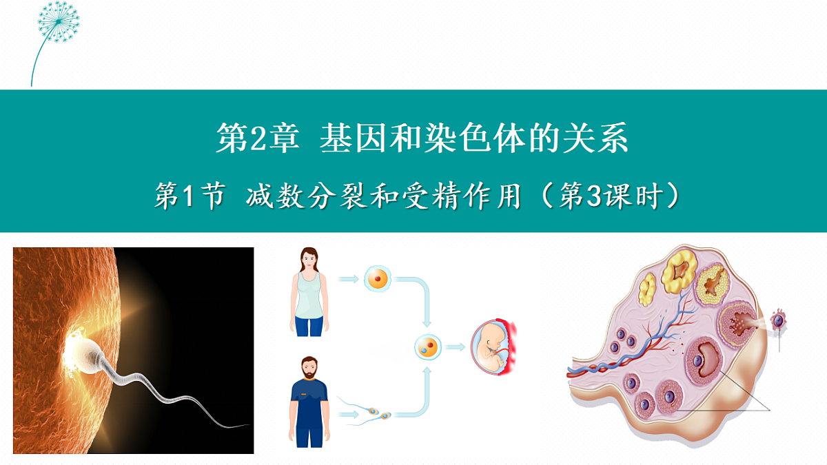 18130047第1页