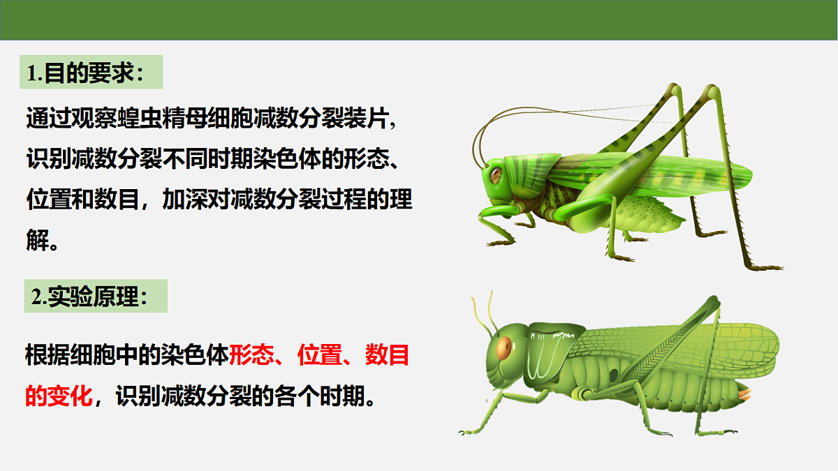 18130047第4页