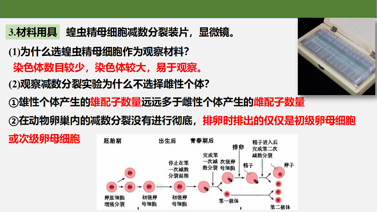 18130047第5页