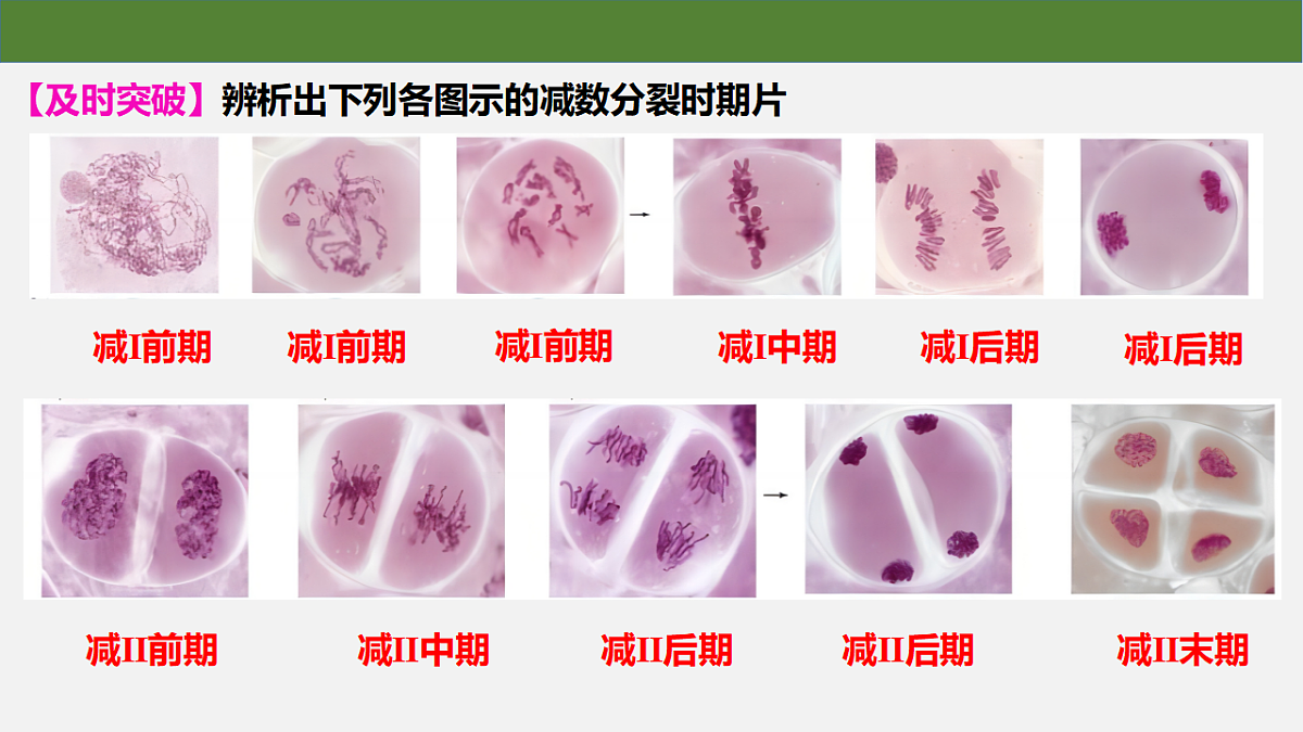 18130047第7页